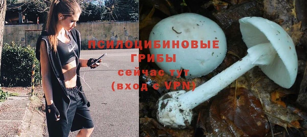мяу мяу мука Беломорск
