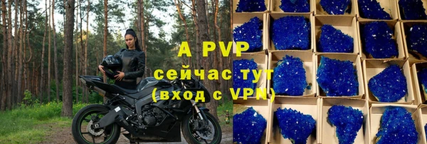 мяу мяу мука Беломорск