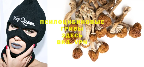 спайс Белокуриха