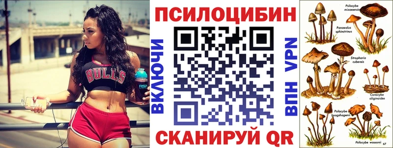 Галлюциногенные грибы мицелий  Воронеж 